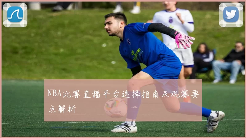 NBA比赛直播平台选择指南及观赛要点解析