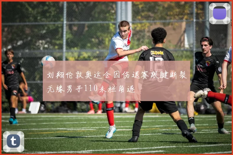 刘翔伦敦奥运会因伤退赛跟腱断裂无缘男子110米栏角逐