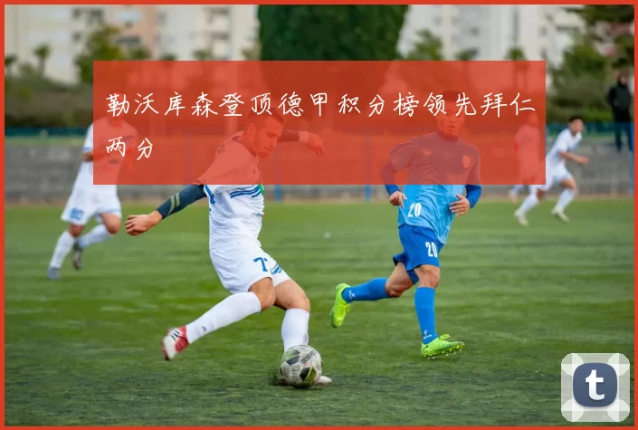 勒沃库森登顶德甲积分榜领先拜仁两分