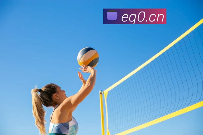 多媒体互动体验